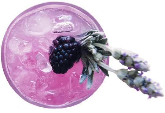 lavender-blackberry-cocktail-drink lavender-blackberry-cocktail-drink